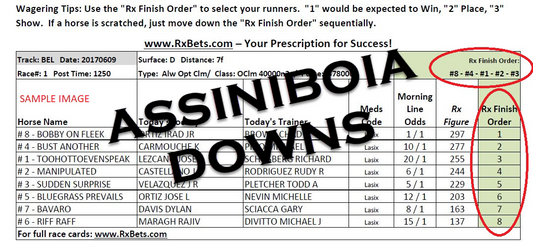 09/15/25 - Assiniobia Downs - Daily Selection Report