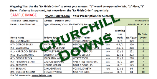 11/20/24 - Churchill Downs - Daily Selection Report