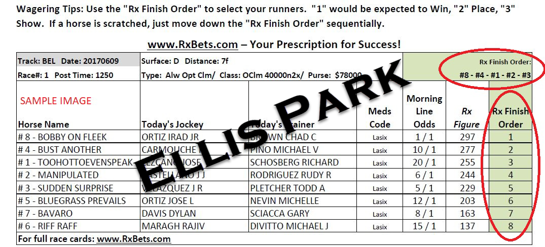 07/03/26 - Ellis Park - Daily Selection Report