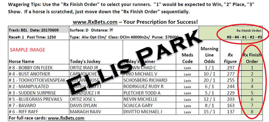 07/02/26 - Ellis Park - Daily Selection Report