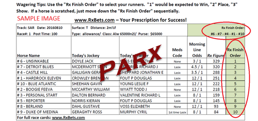 11/19/24 - Parx - Daily Selection Report