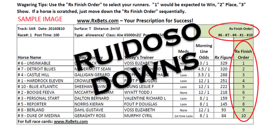 06/29/25 - Ruidoso Downs - Daily Selection Report