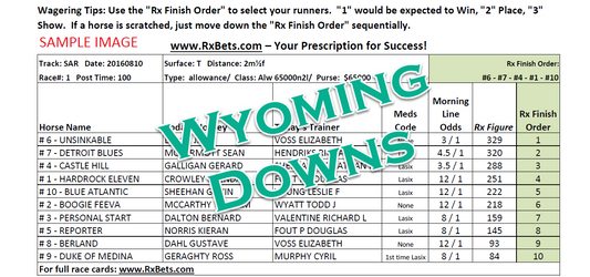 06/05/26 - Wyoming Downs - Daily Selection Report